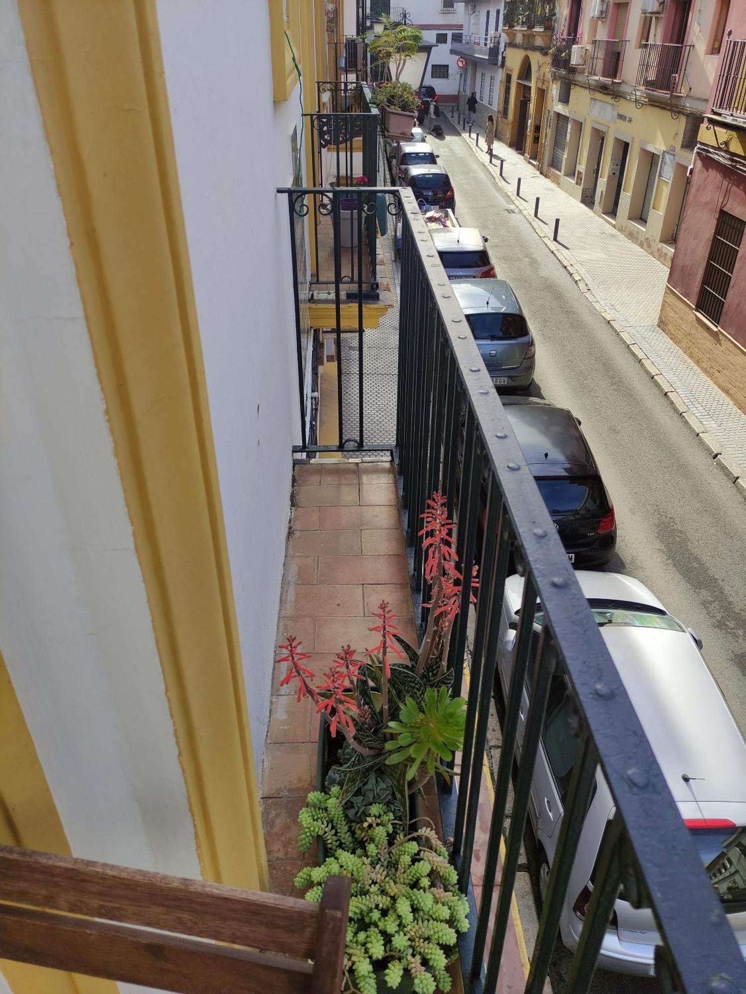 Vive Triana Apartament Sewilla